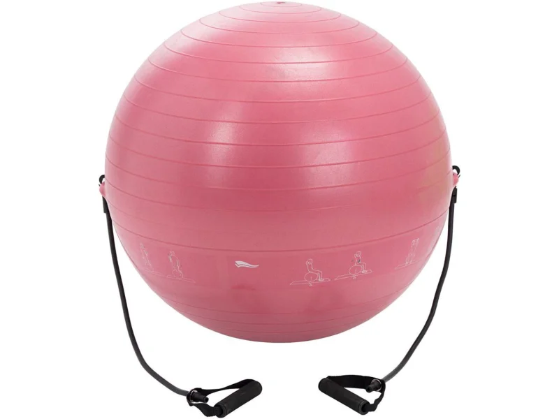 Fitball WS0584, 65 cm, pink