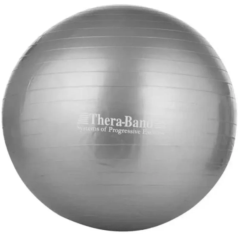 Fitball WS0581, 65 cm, black