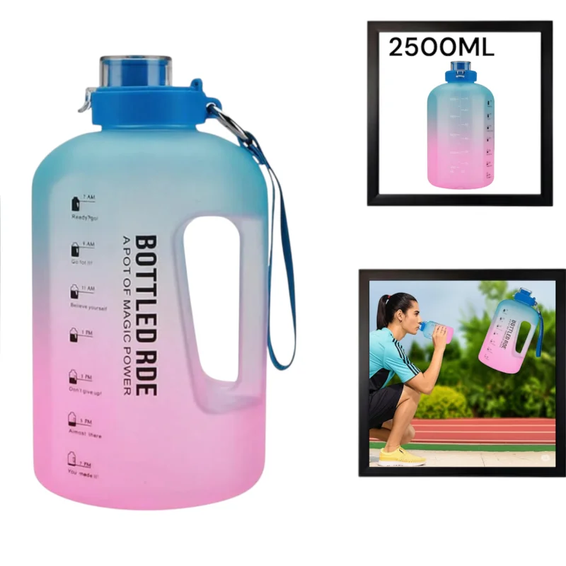 İdman su qabı WS1279, mavi-çəhrayı, 2500 ml