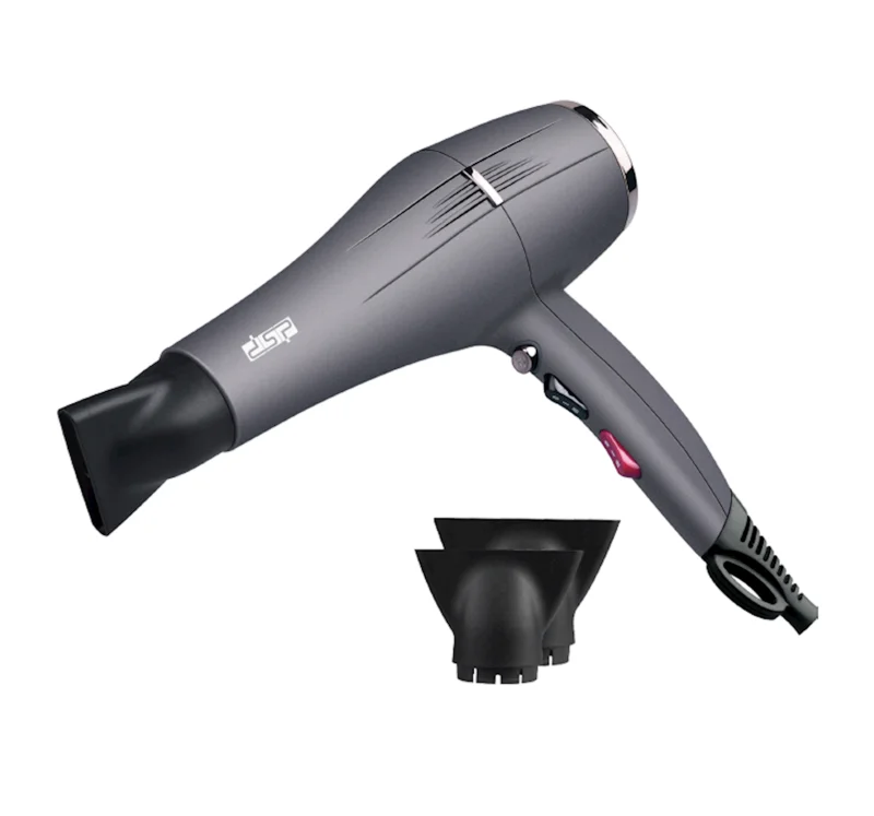 Hair dryer DSP 30103