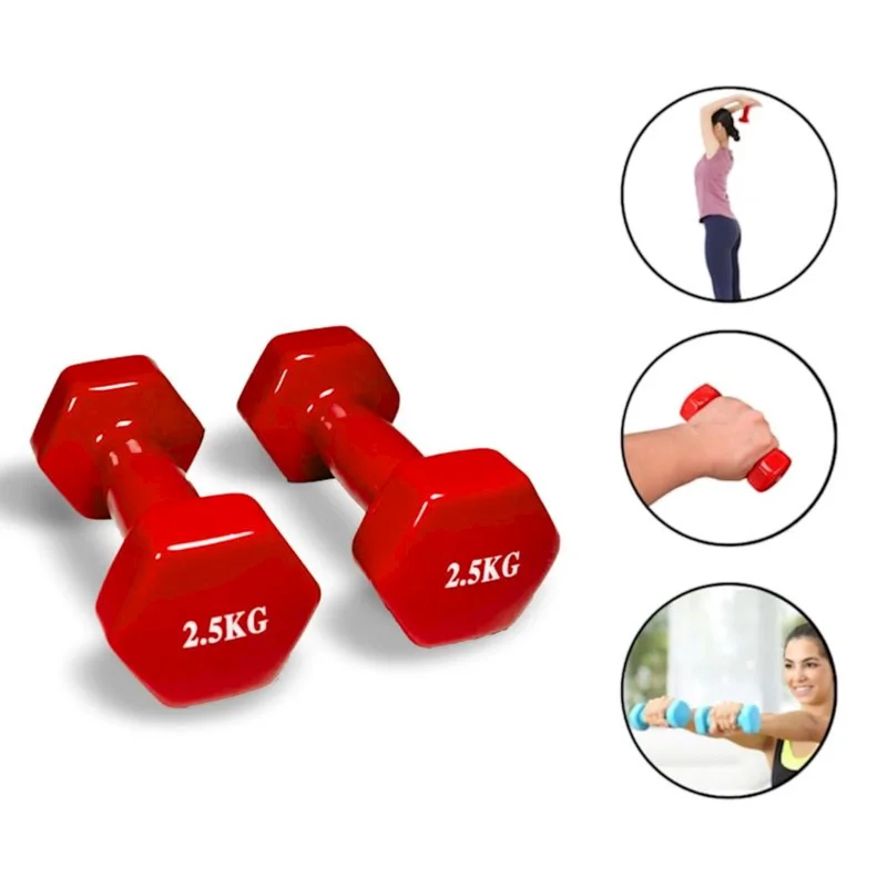 Dumbbell set WS0022, 2 pcs x 2.5 kg, red