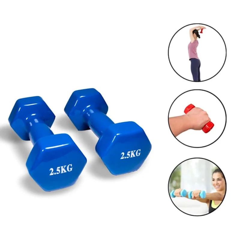 Dumbbell set WS0023, 2 pcs x 2.5 kg, blue